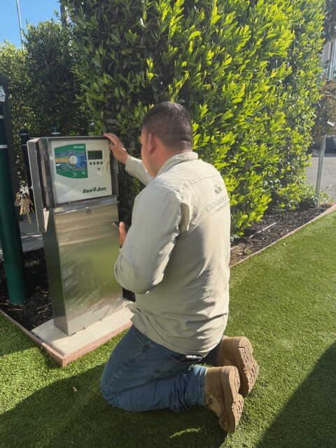 Irrigation services
